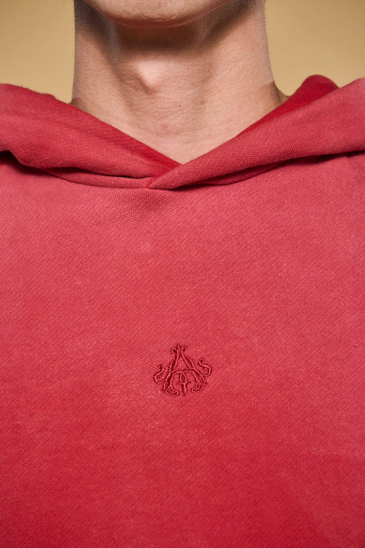 Basics V3 - Raudur Sun Faded Hoodie - imagen 6