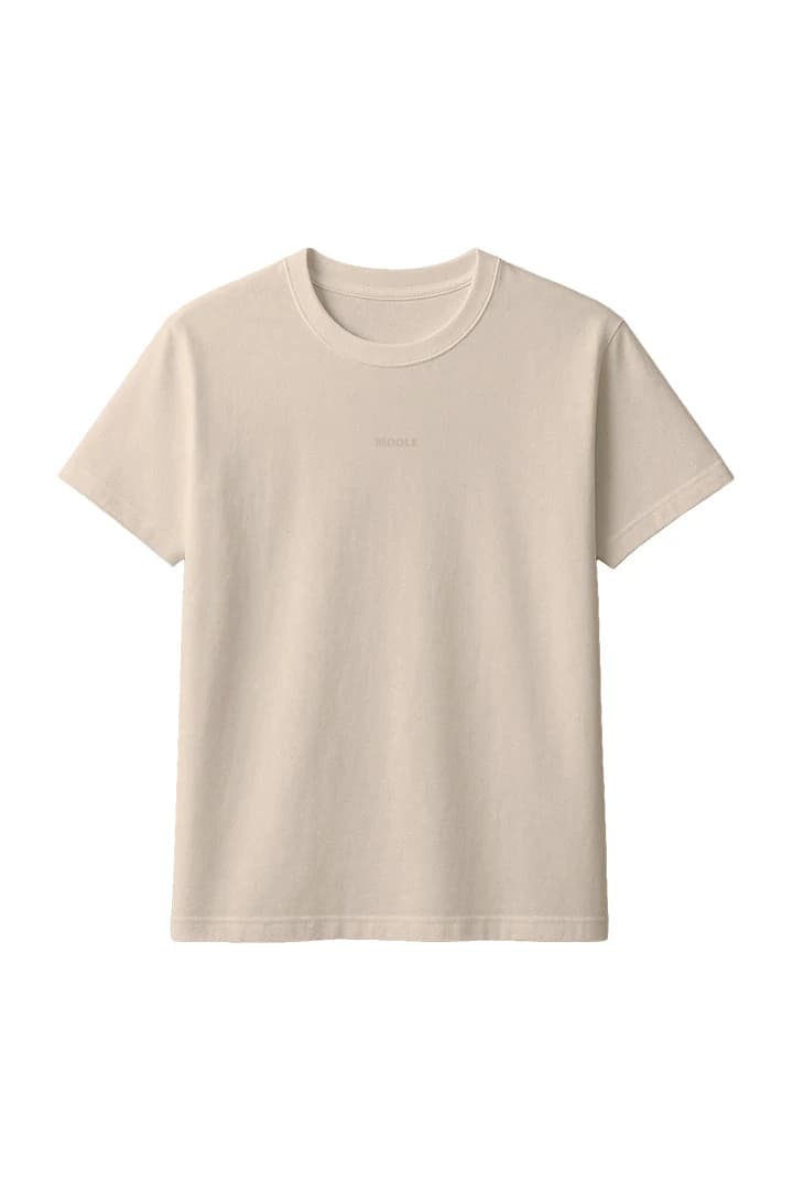 CAMISETA ESENCIALES REGULAR MOOLE - imagen 1