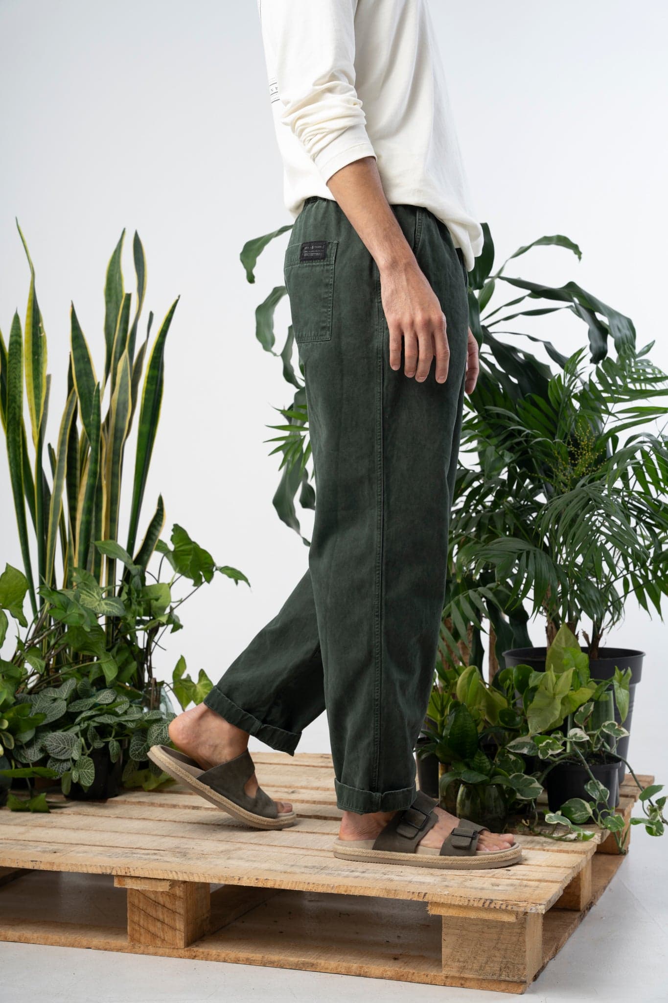 Corteza Cotton Pants - imagen 2