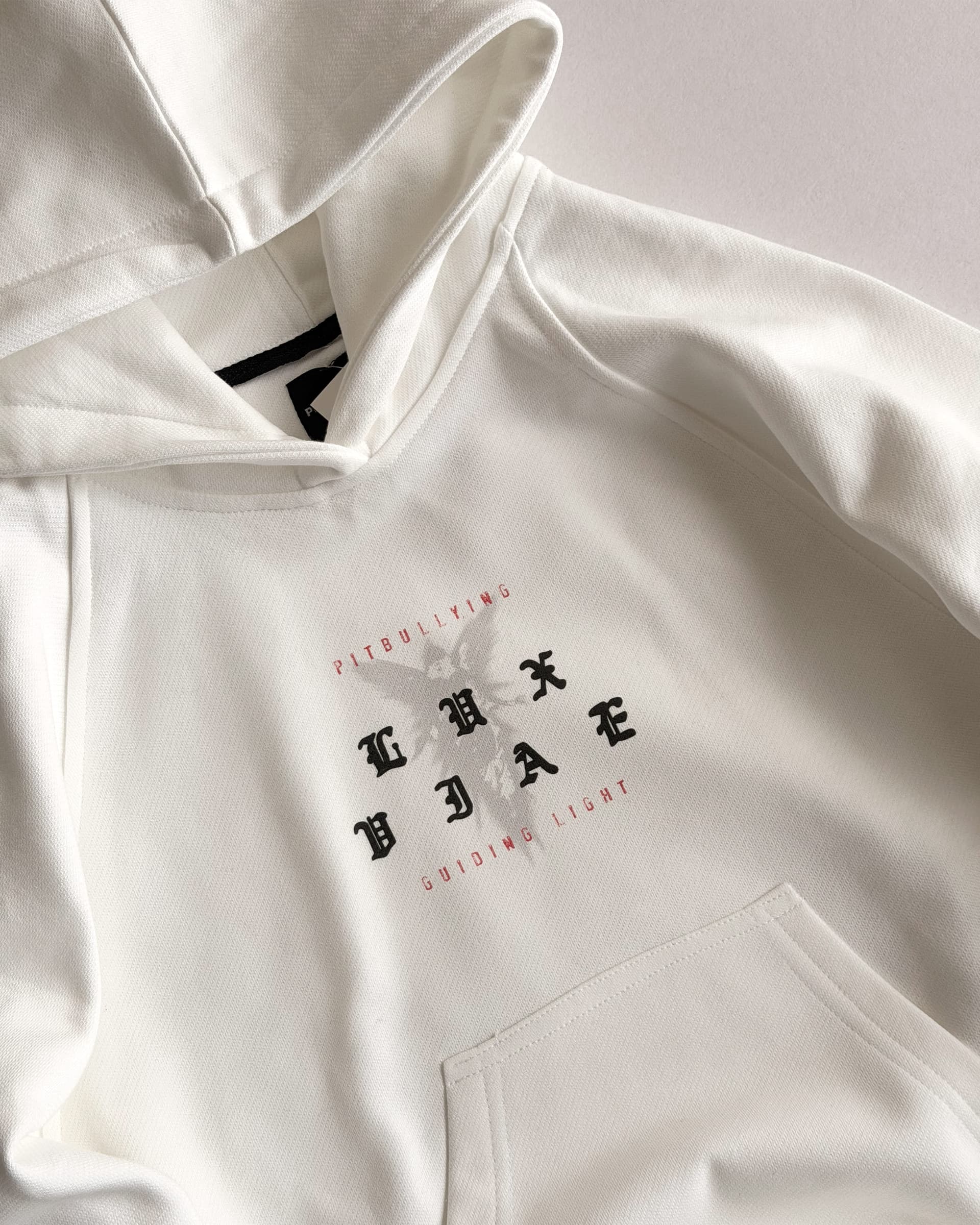 HOODIE OVERSIZE CRUDO GUIDING LIGHT - imagen 5