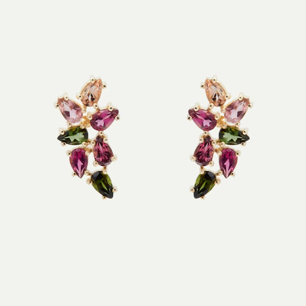 Arete Fancy candy crawler - imagen 1