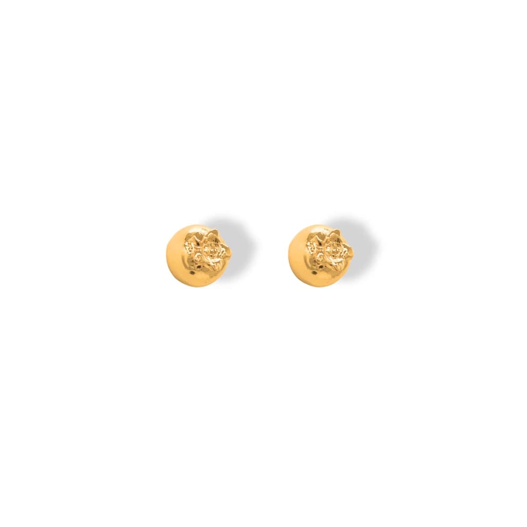 Aretes de arándano pequeño