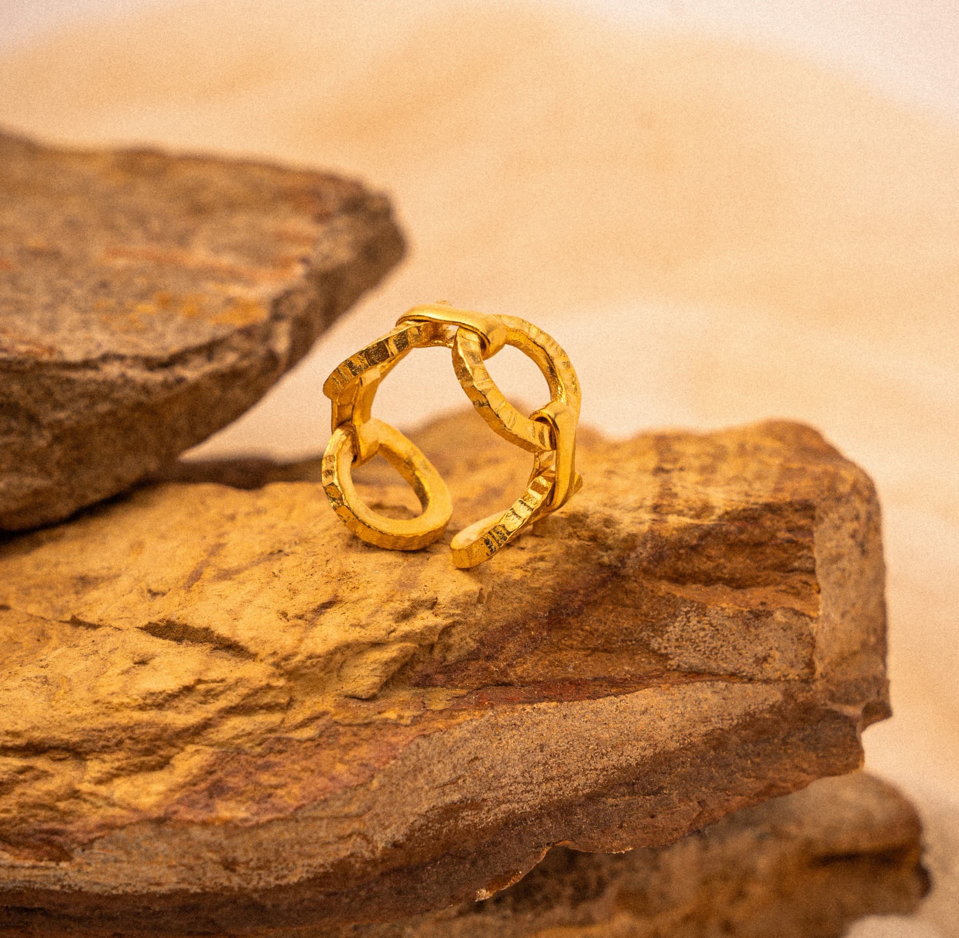 ANILLO HORIZONTE - imagen 2