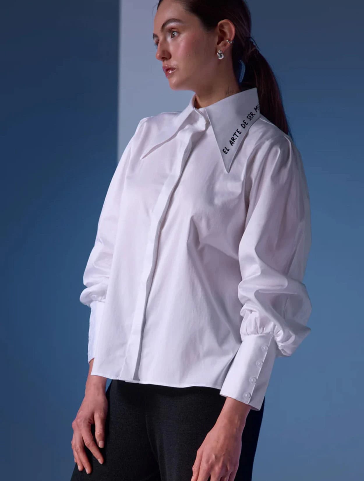 CAMISA CUELLO LARGO - imagen 2