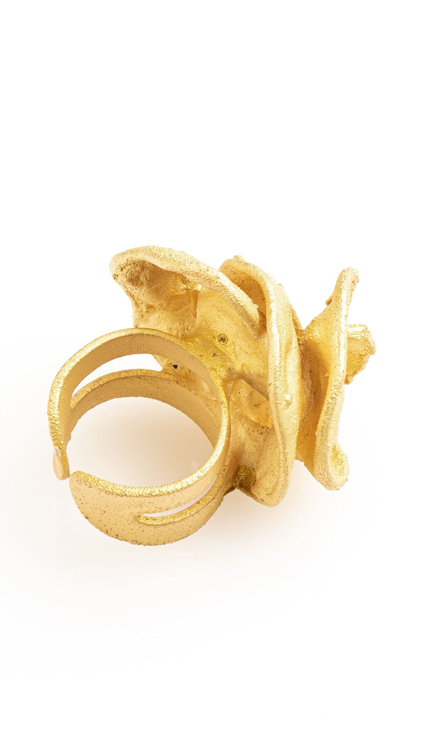 ANILLO ACACIA - imagen 3
