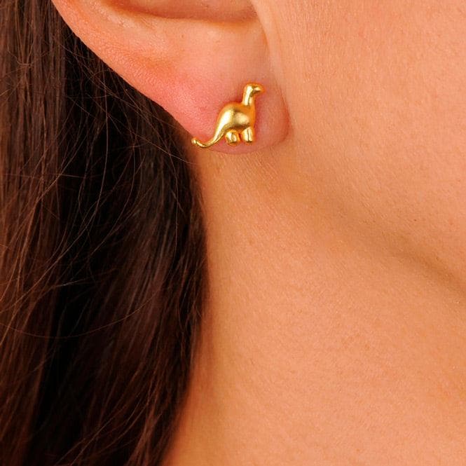 Arete Dinosaurio - imagen 2