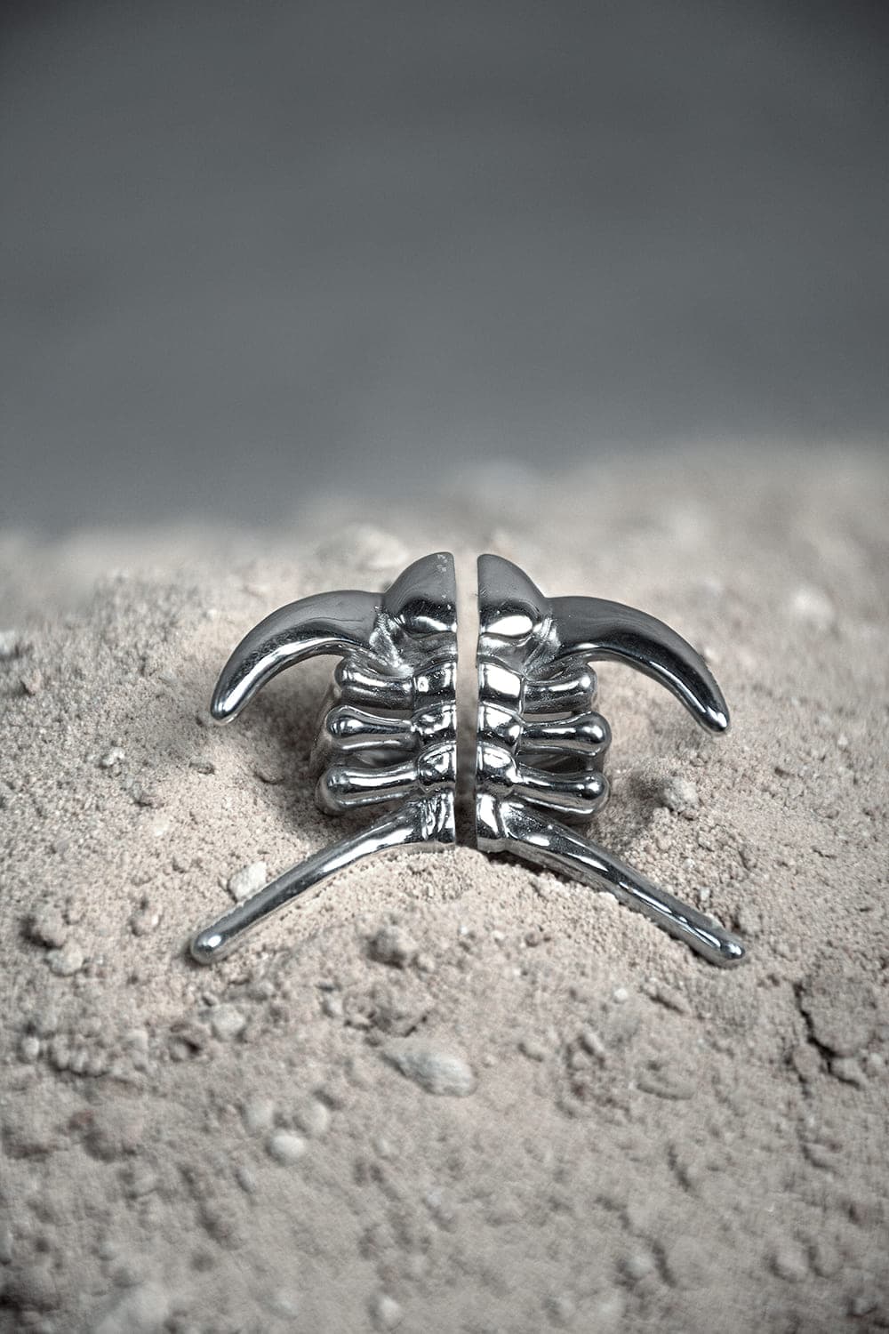 Anillo Deiphon - imagen 2