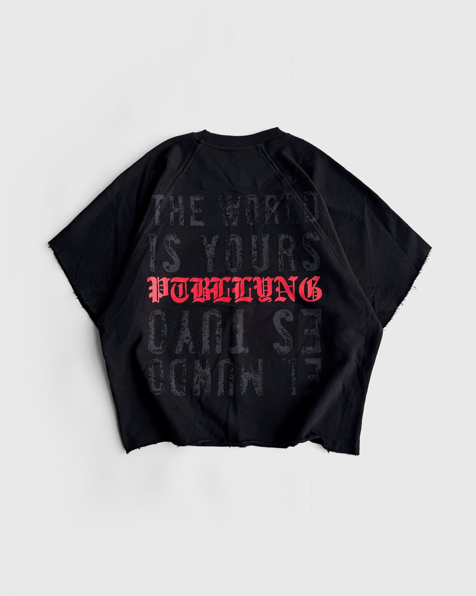 CREWNECK THE WORLD IS YOURS - imagen 5