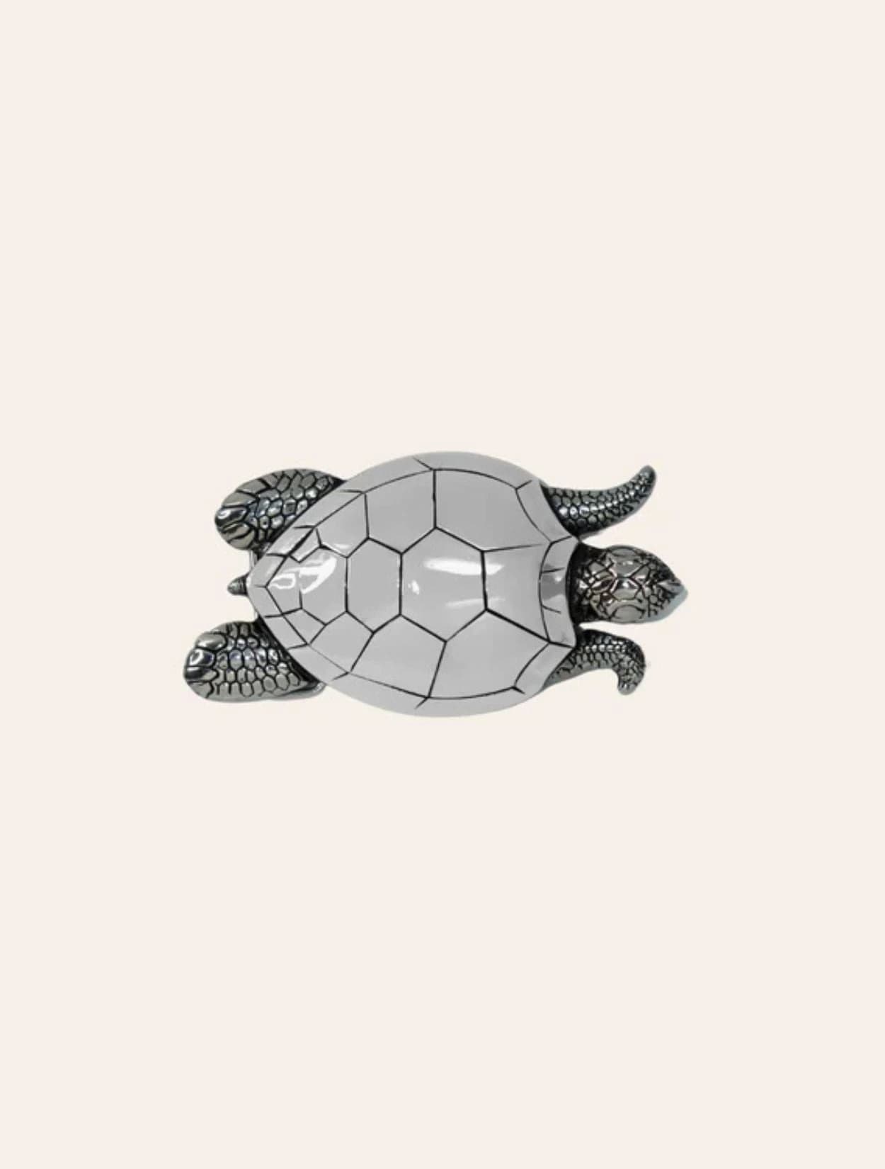 HEBILLA TORTUGA - imagen 1