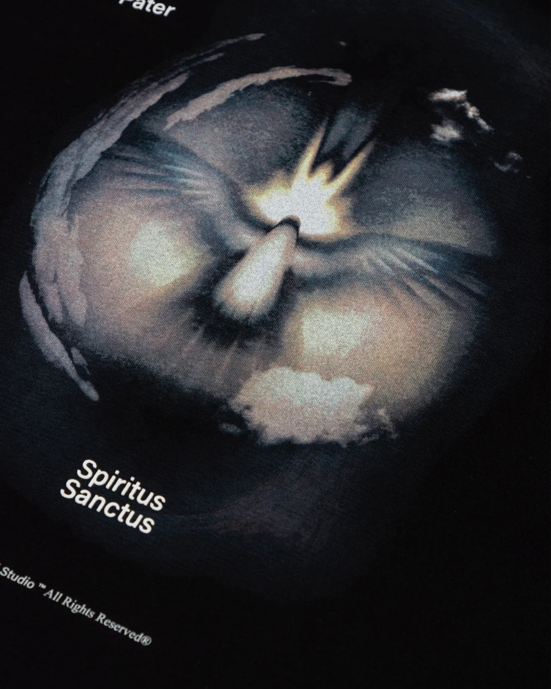 Spring Spiritus Sanctus Tshirt Black - imagen 4