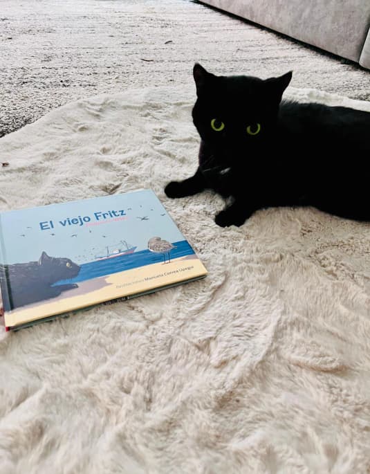 LIBRO EL VIEJO FRITZ - imagen 6