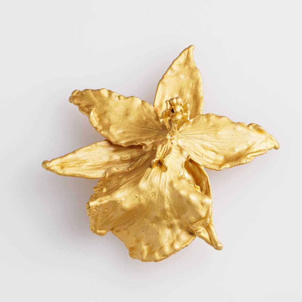 Wilsonara Orchid Pin - imagen 1