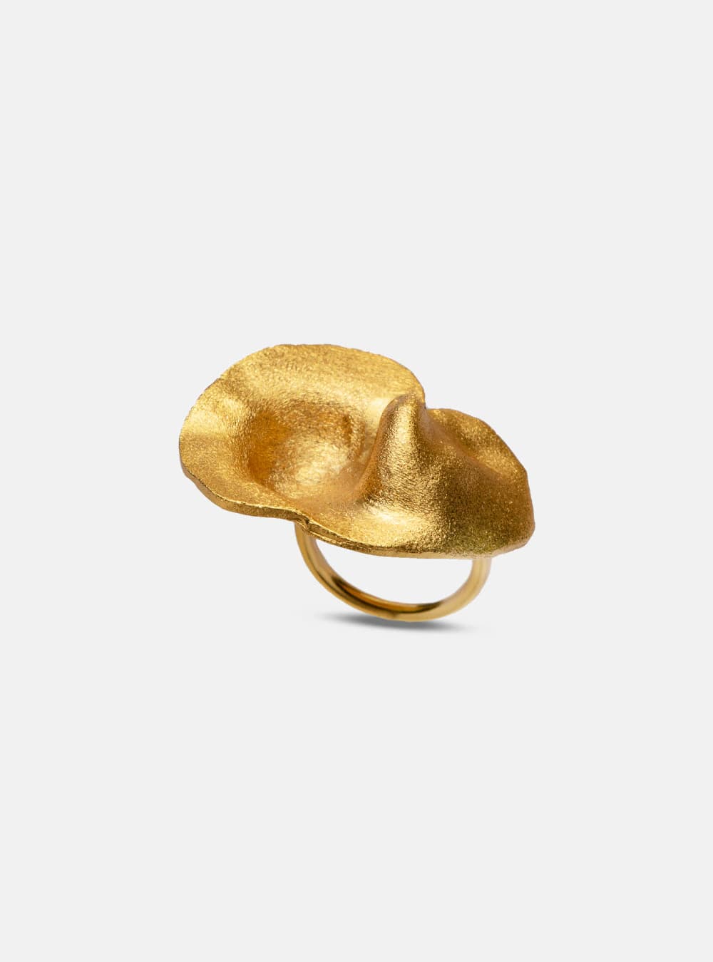 Anillo Fiba - imagen 3