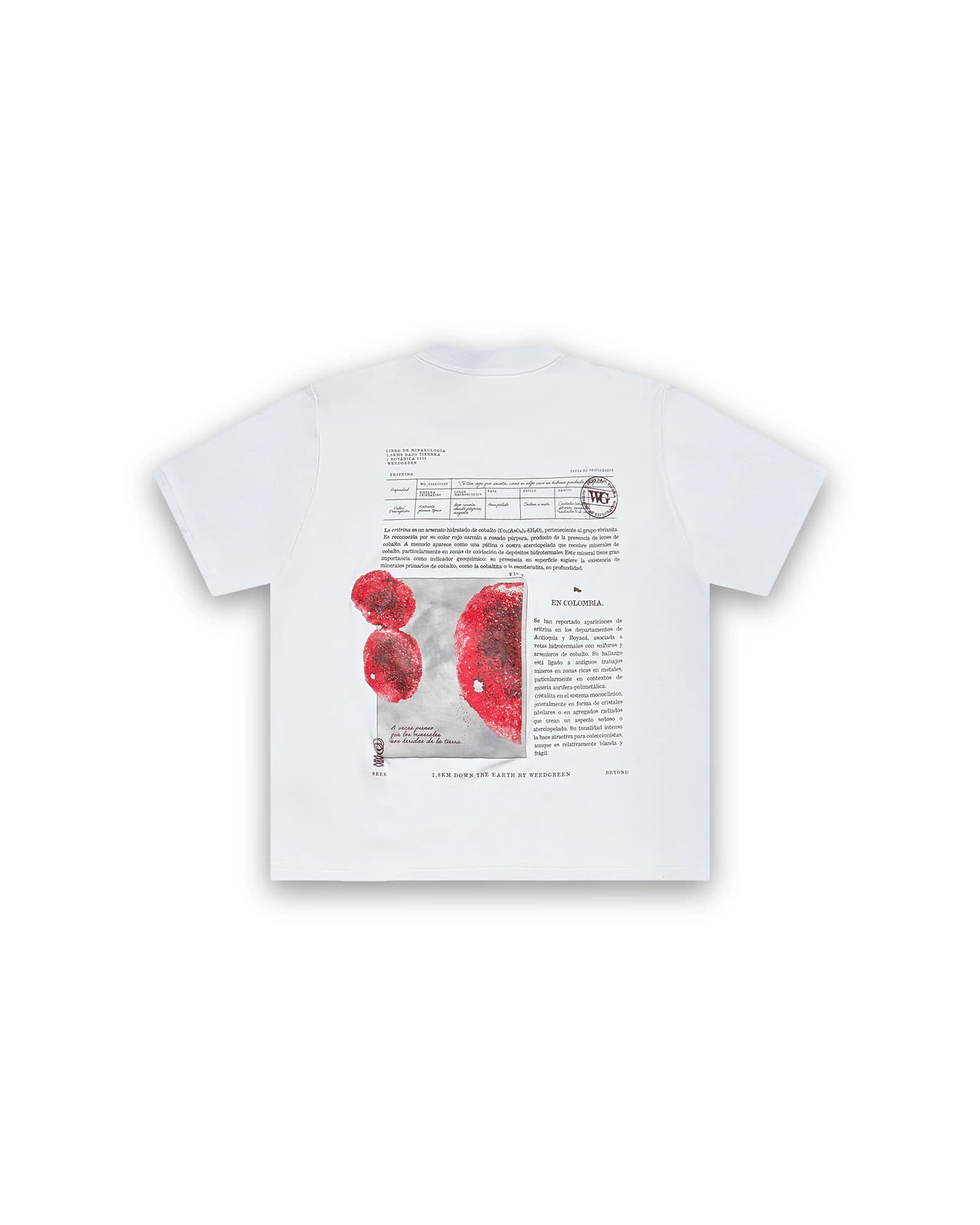 CAMISETA BOX ERITRINA BLANCO - imagen 2