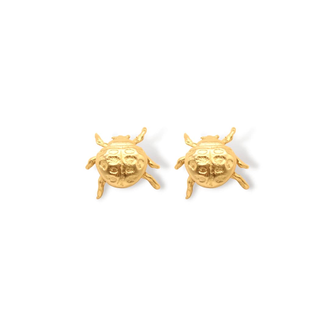 Aretes de mariquita - imagen 1