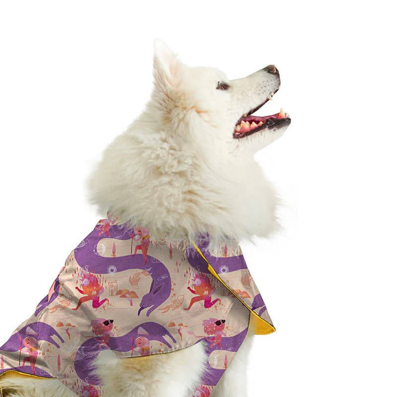 Capa impermeable para mascotas Guaduas Viajerxs Astrales - imagen 5
