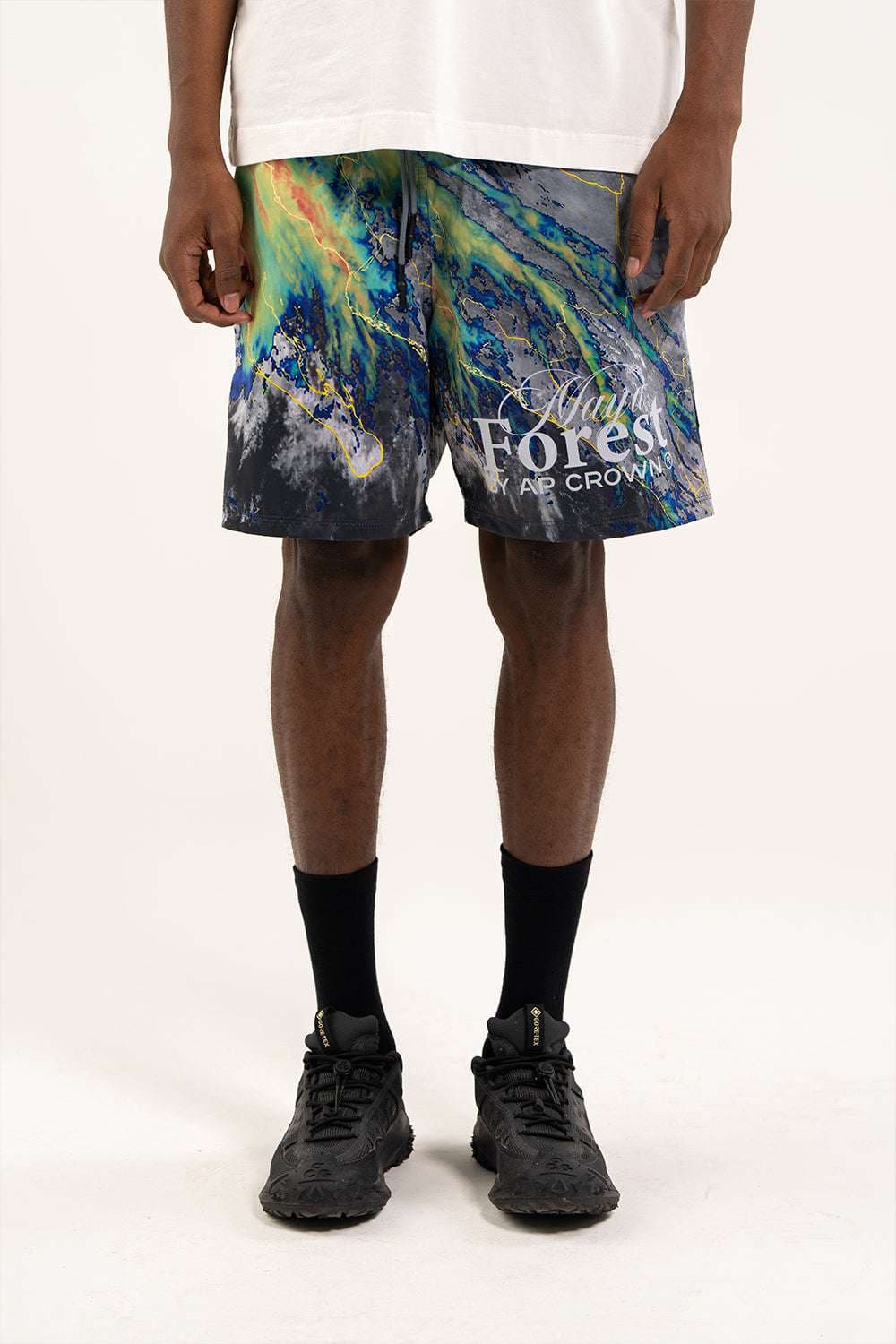ICY SHORTS - imagen 5