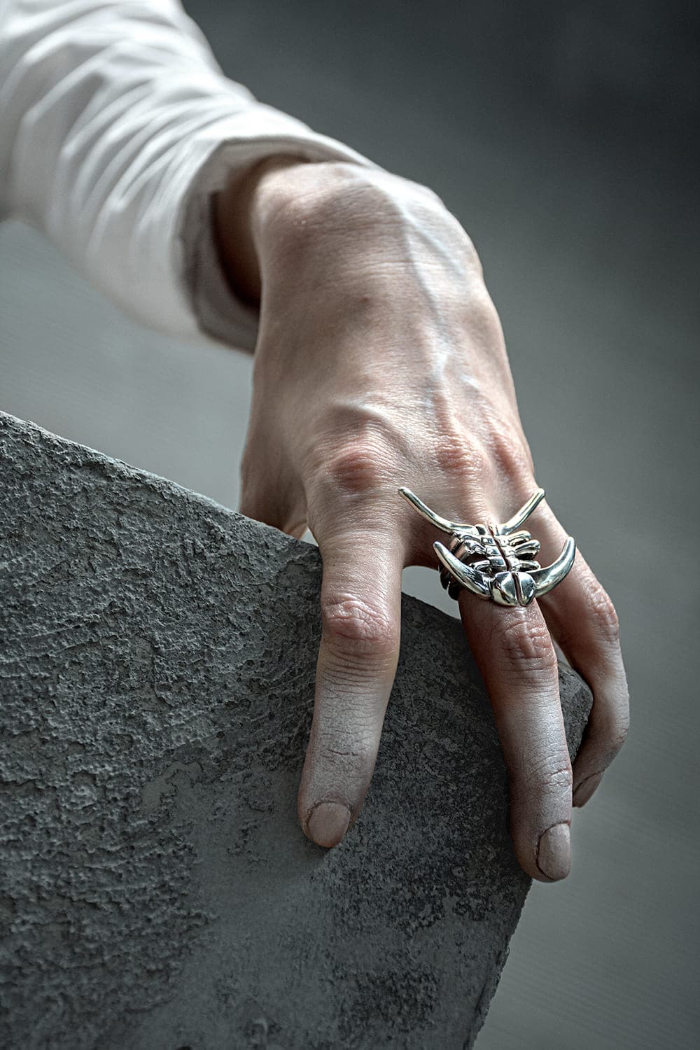 Anillo Deiphon - imagen 3