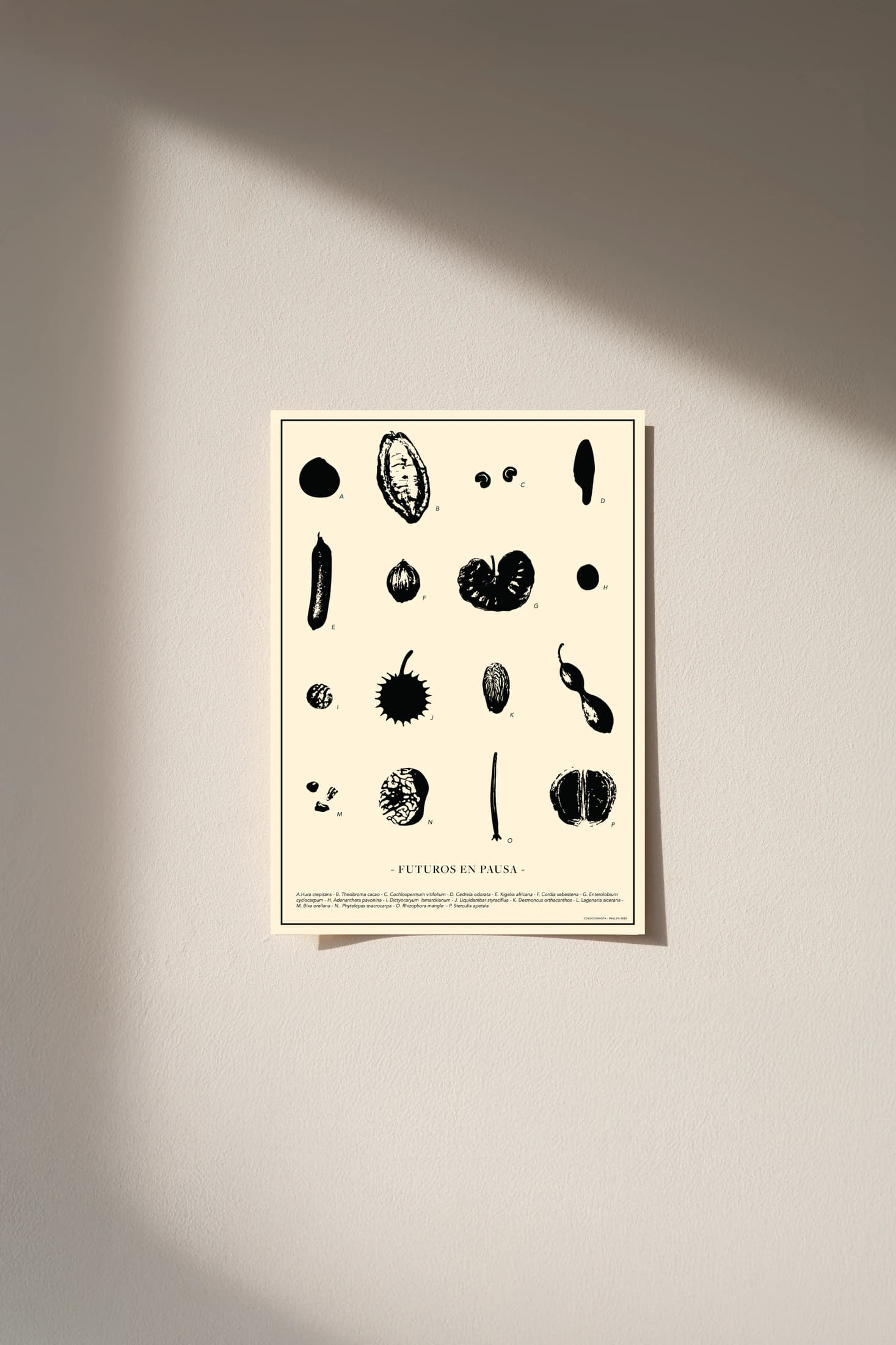 POSTER  30x40 -  FUTUROS EN PAUSA