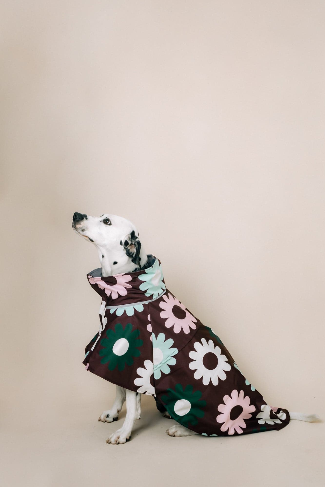 DOG´S RAINCOAT PETAL PLOP - imagen 3