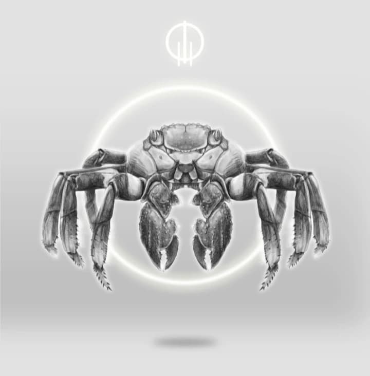 Pañoleta Océano - imagen 5