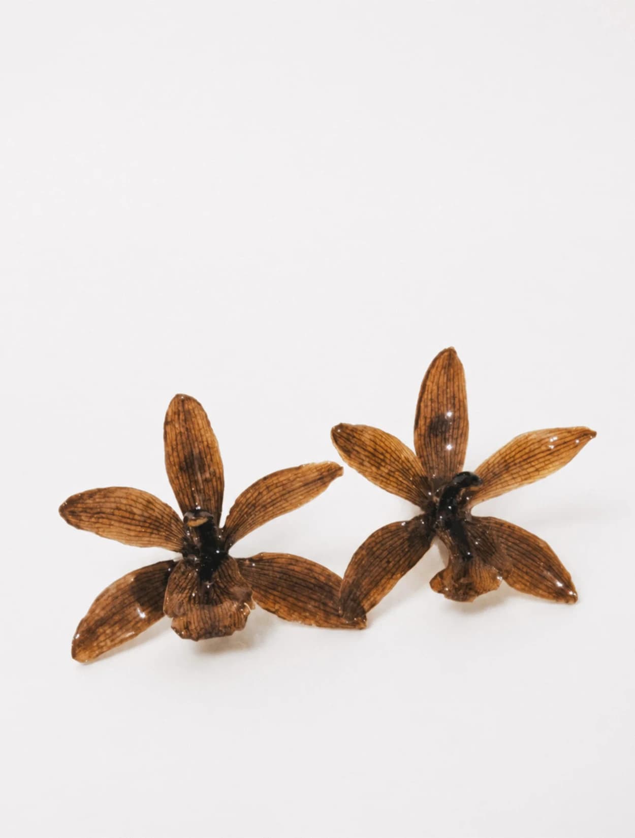 ARETES ADA - imagen 1