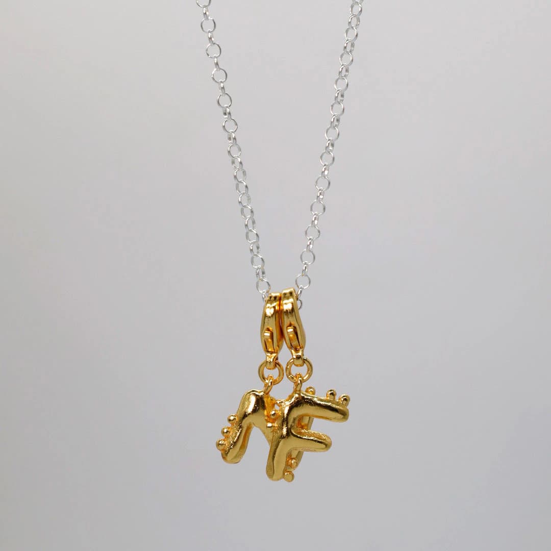 Single Cadena Plata 70cm - imagen 5