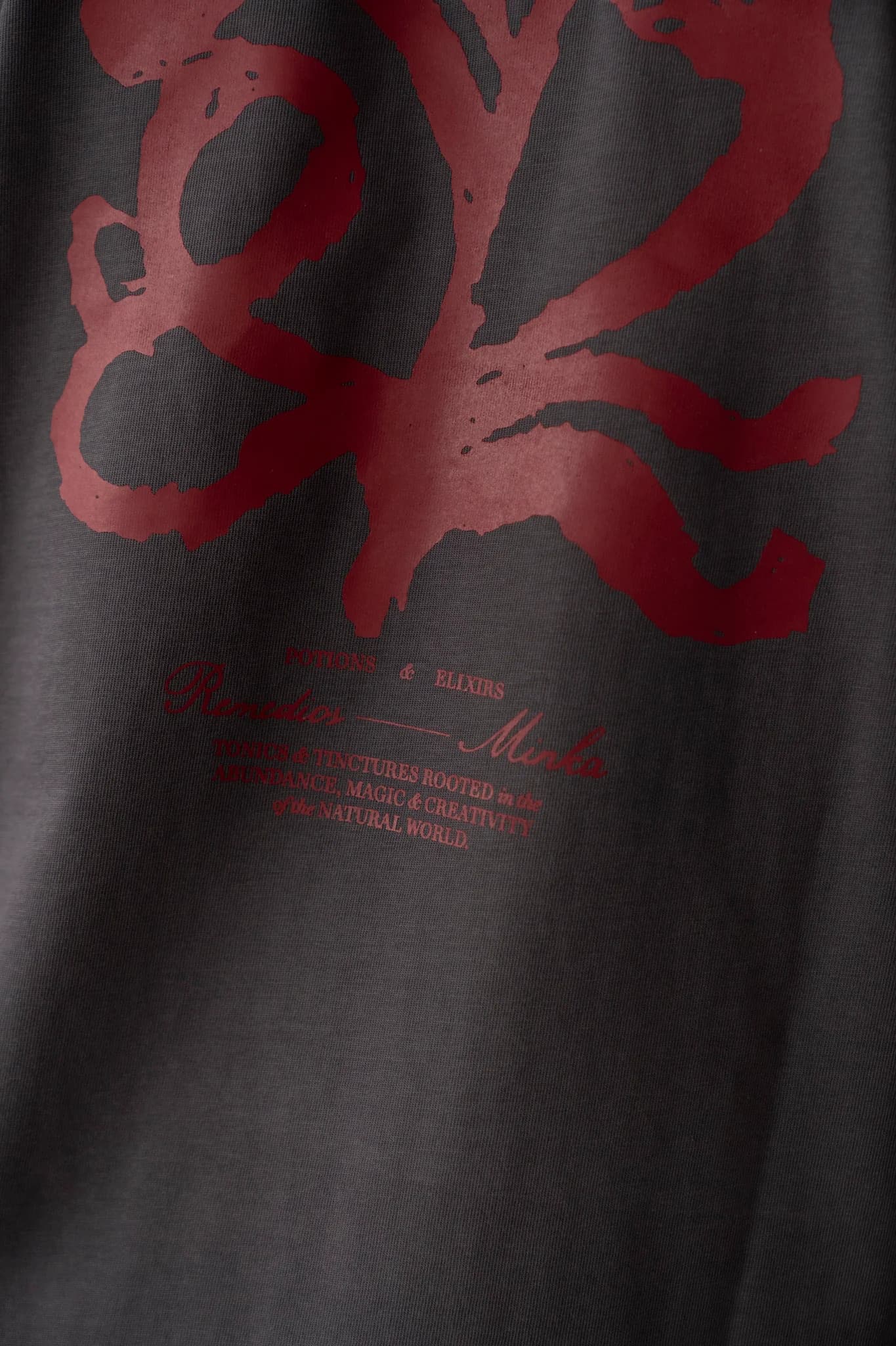 Camiseta Remedios gris oscuro - imagen 2