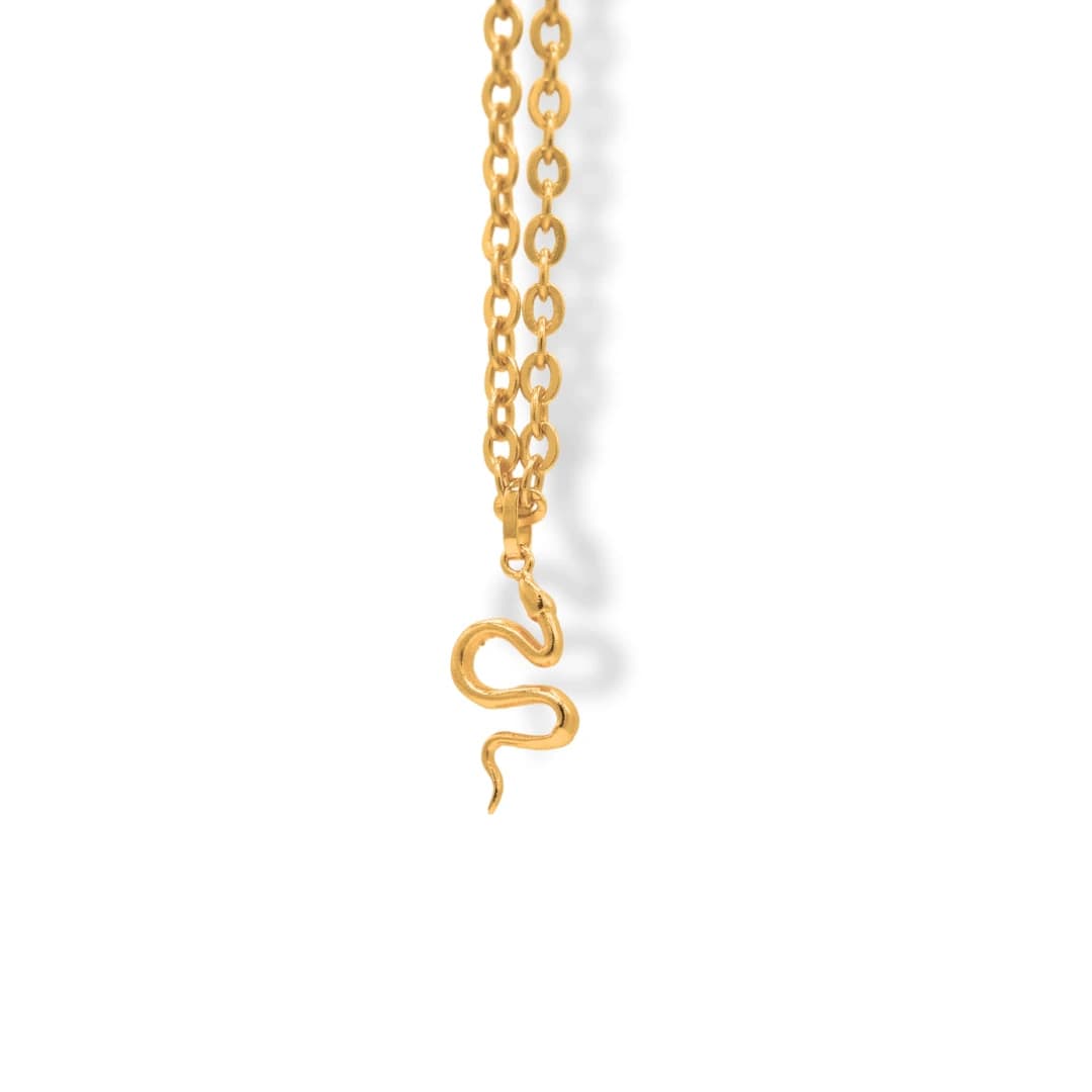 Cadena con serpiente grande - imagen 3