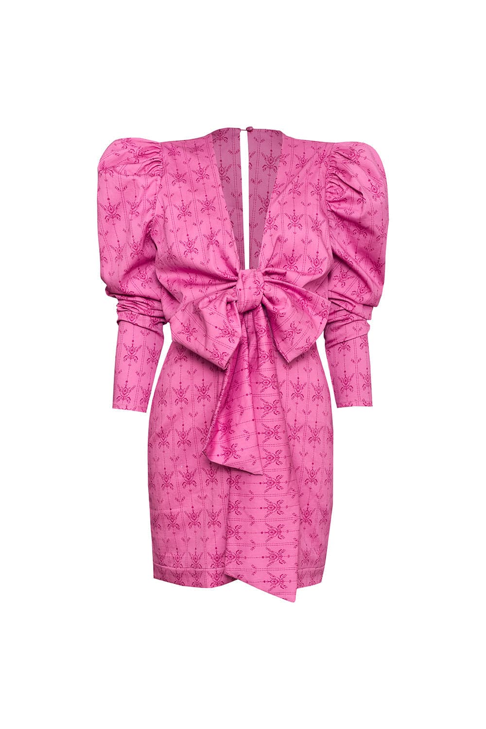 Jacinto de Verano Mini Dress - imagen 1