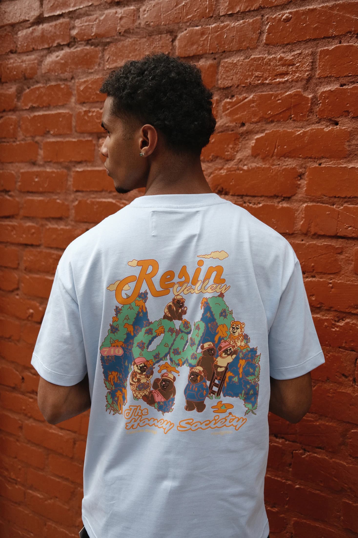 Resin Valley Delicated Blue Tee - imagen 2