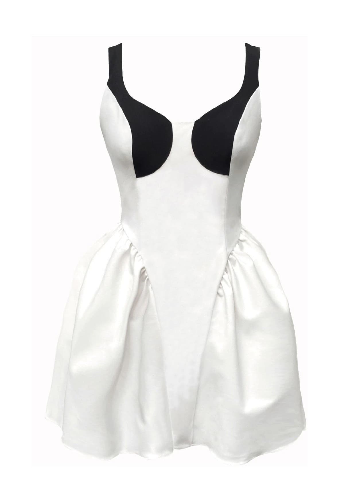 Cisne Mini Dress - imagen 1