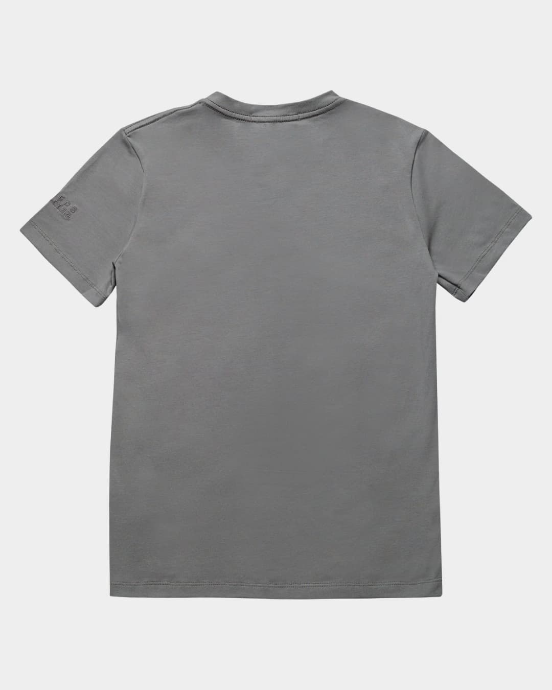 MONOGRAM SLIM GRAY T-SHIRT - imagen 2