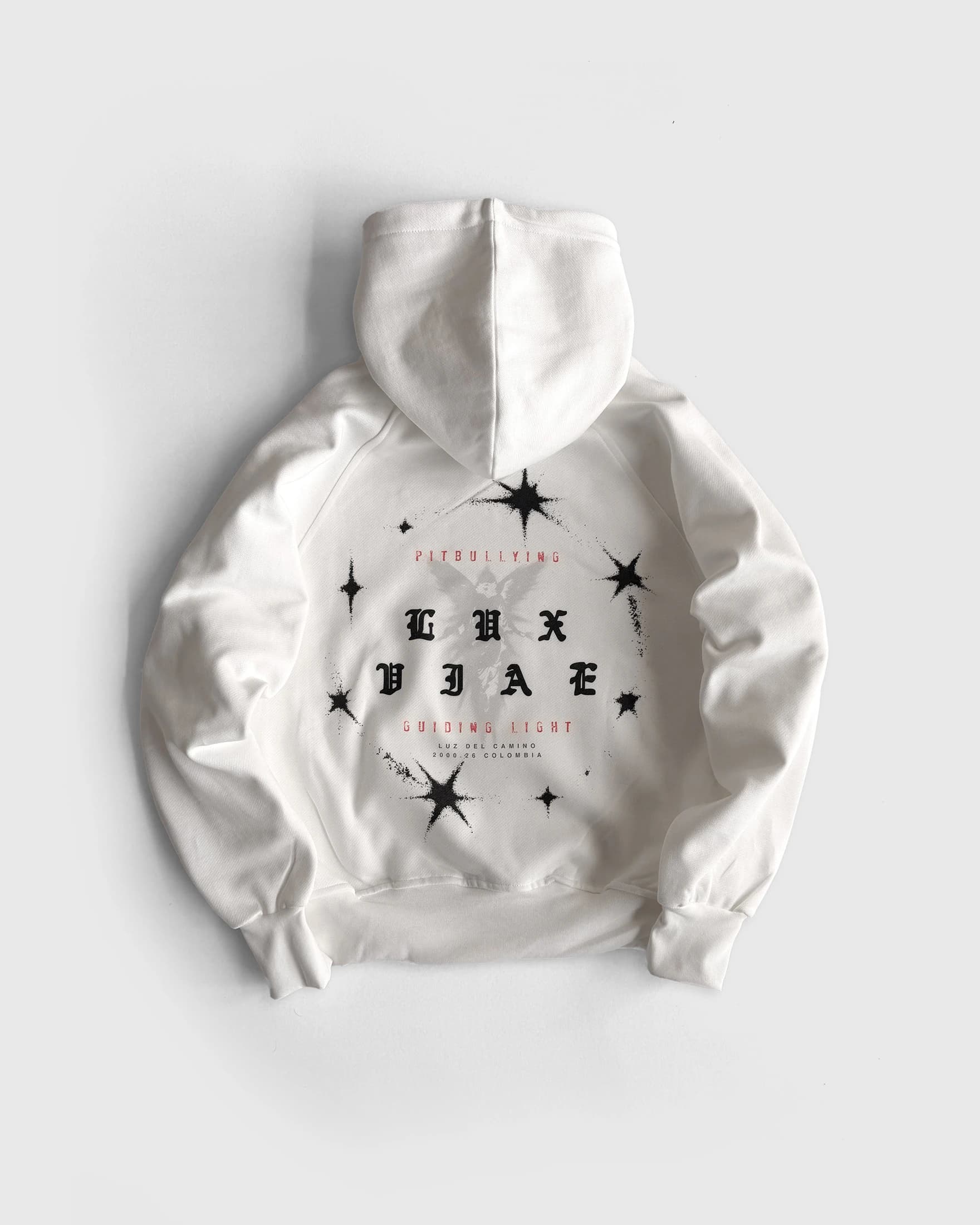 HOODIE OVERSIZE CRUDO GUIDING LIGHT - imagen 4