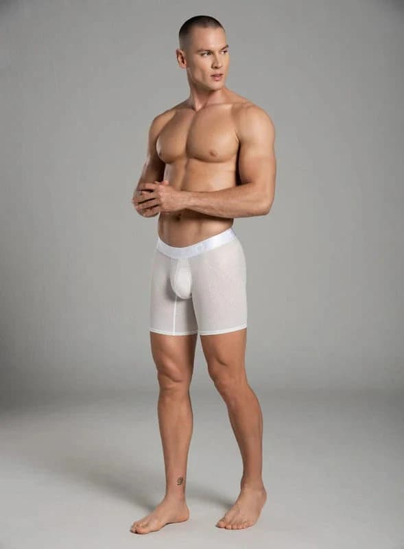 BOXER LARGO MICROFIBRA ZEUS


TALLA S - M - L - XL