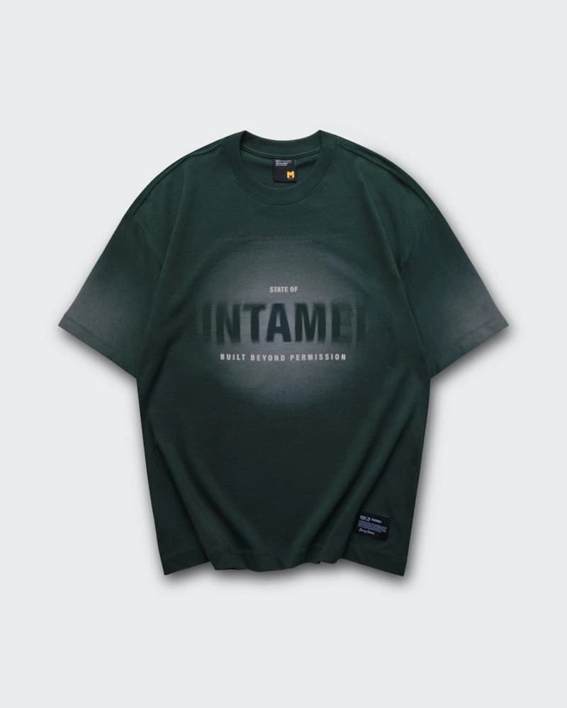 Camiseta Verde Oversize Untamed - imagen 6