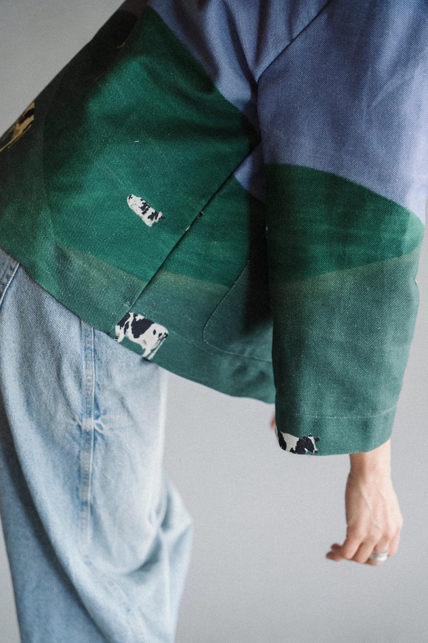 Chaqueta MONTAÑAS - imagen 4