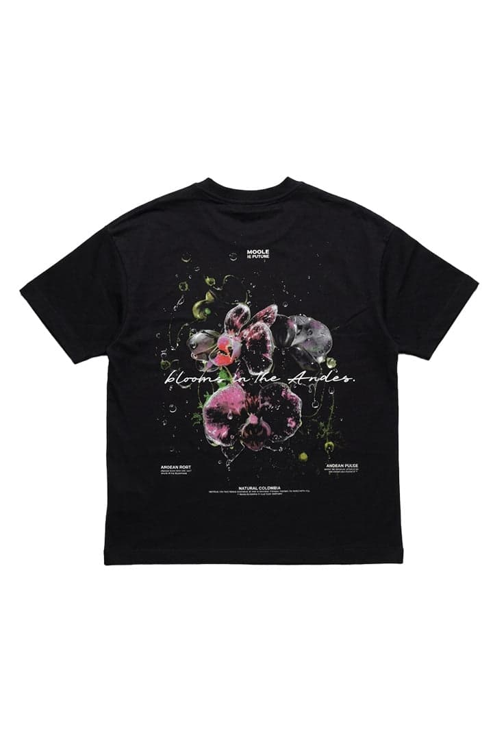 CAMISETA OVERSIZED ANDES - imagen 5