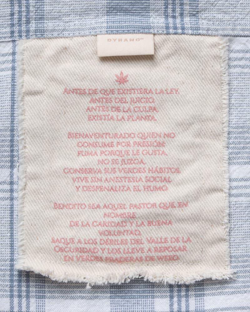 Camisa Boxy Garden Of Eden – Edición 420 - imagen 7