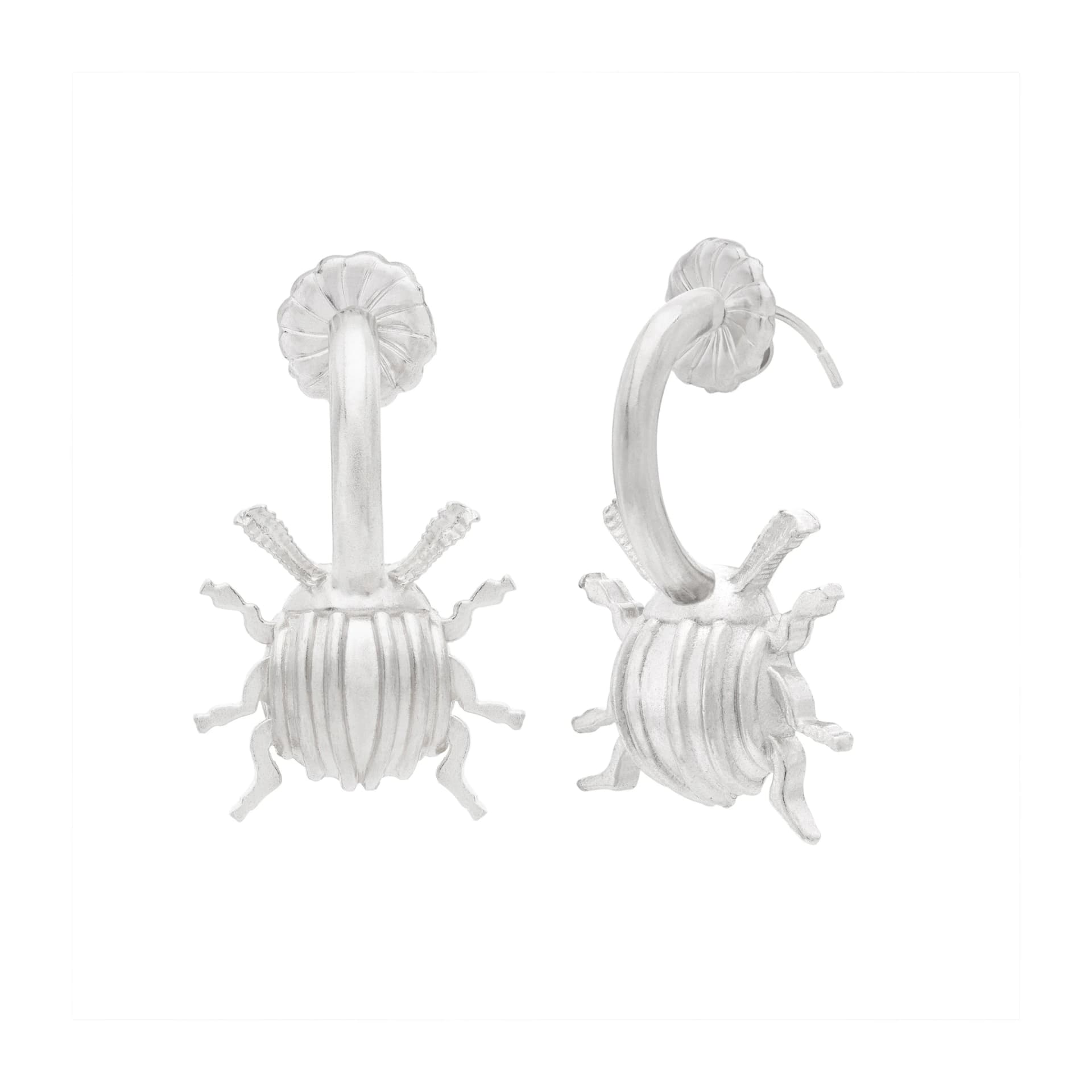 Medium Beetle Hoops - imagen 1