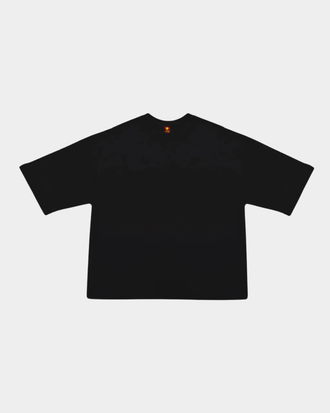 CAMISETA BOXY FIT BLANCO SOBRE NEGRO AR - imagen 2