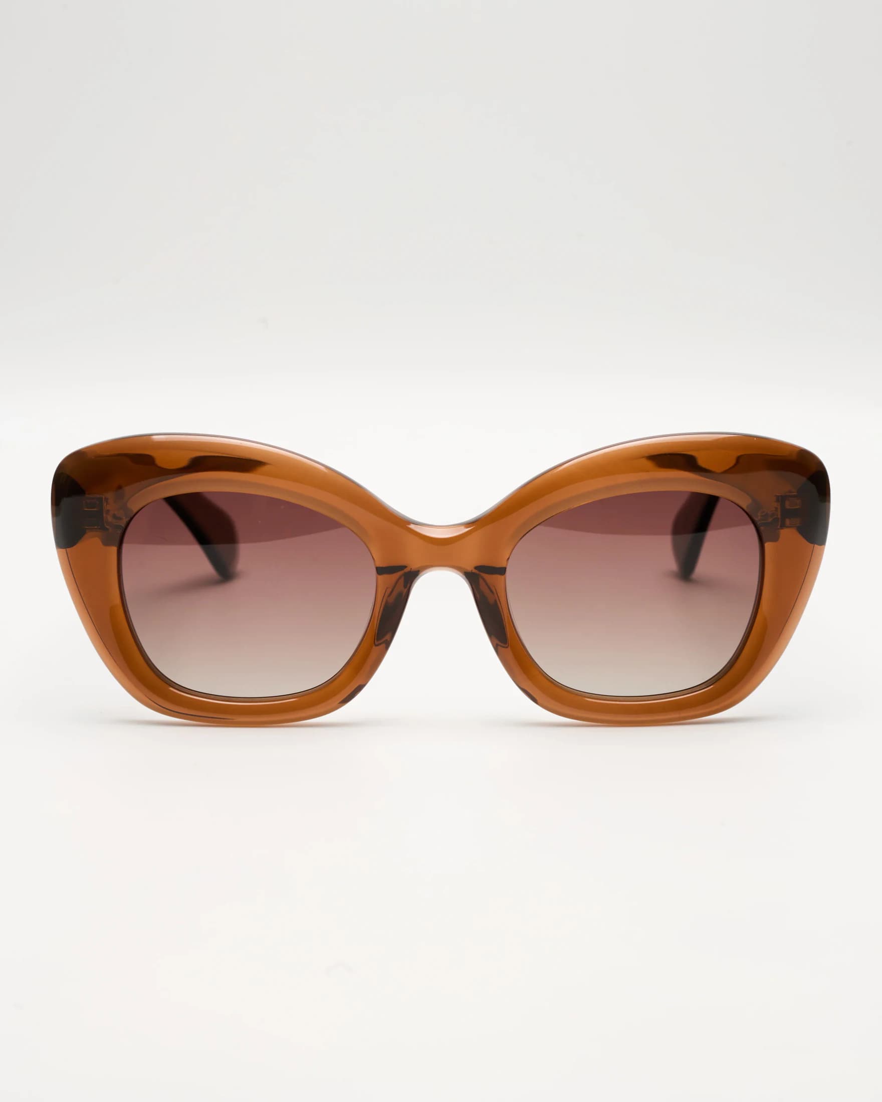 MASSIMO - CARAMEL / CHOCOLATE - imagen 7