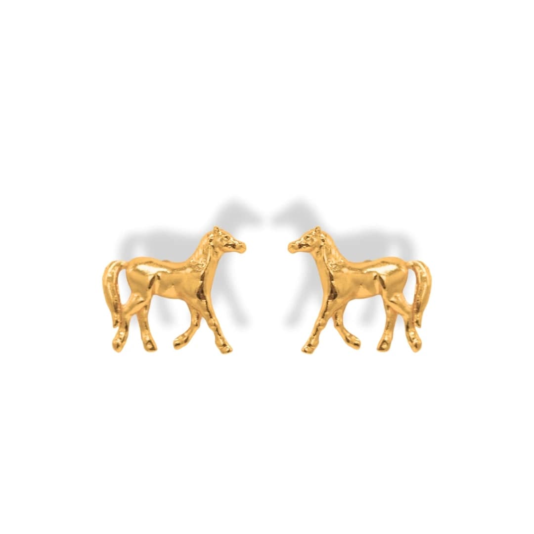 Aretes de caballo - imagen 1