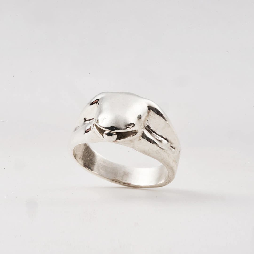 Anillo Rana - imagen 1