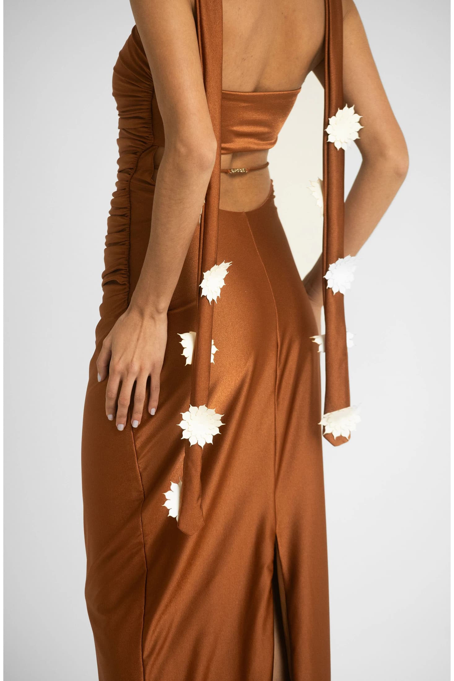 Sol Bronce - imagen 5