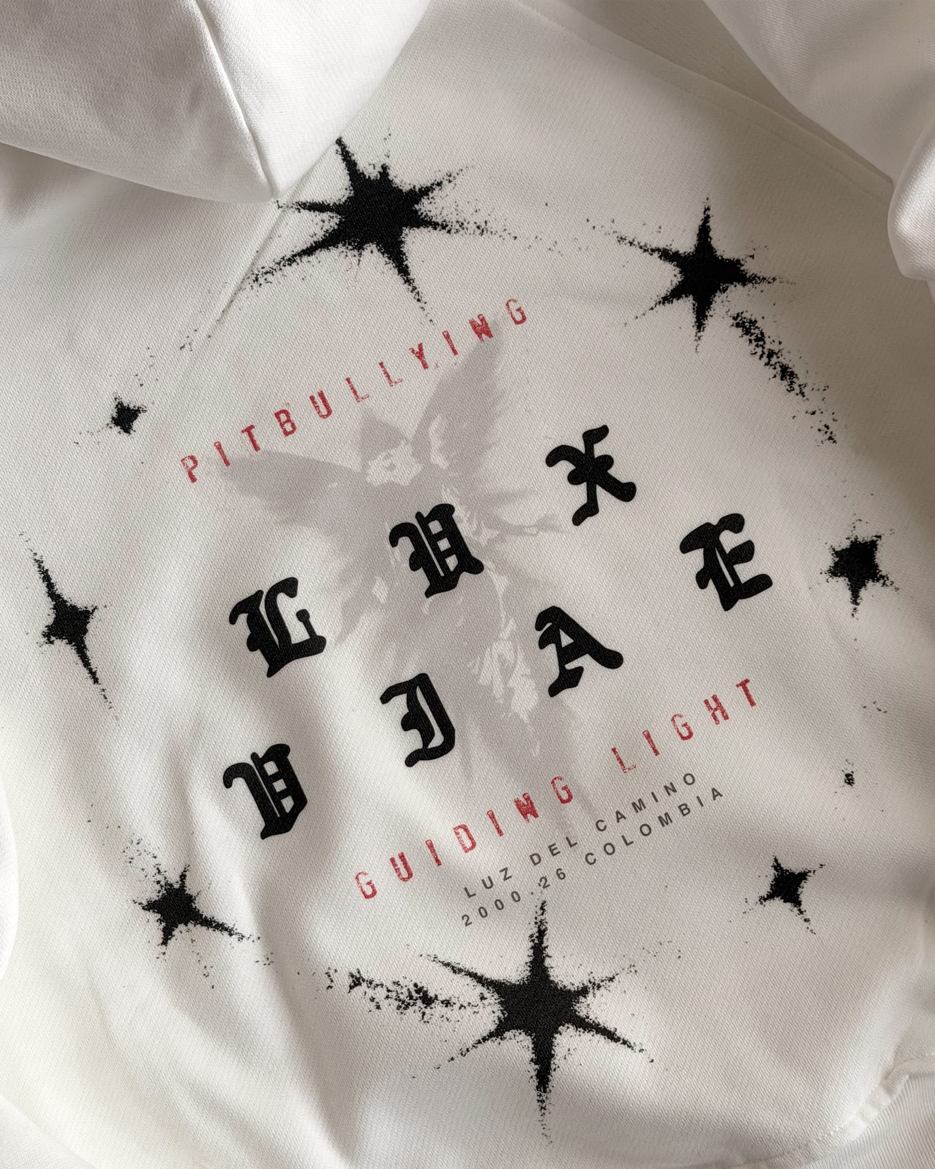 HOODIE OVERSIZE CRUDO GUIDING LIGHT - imagen 7