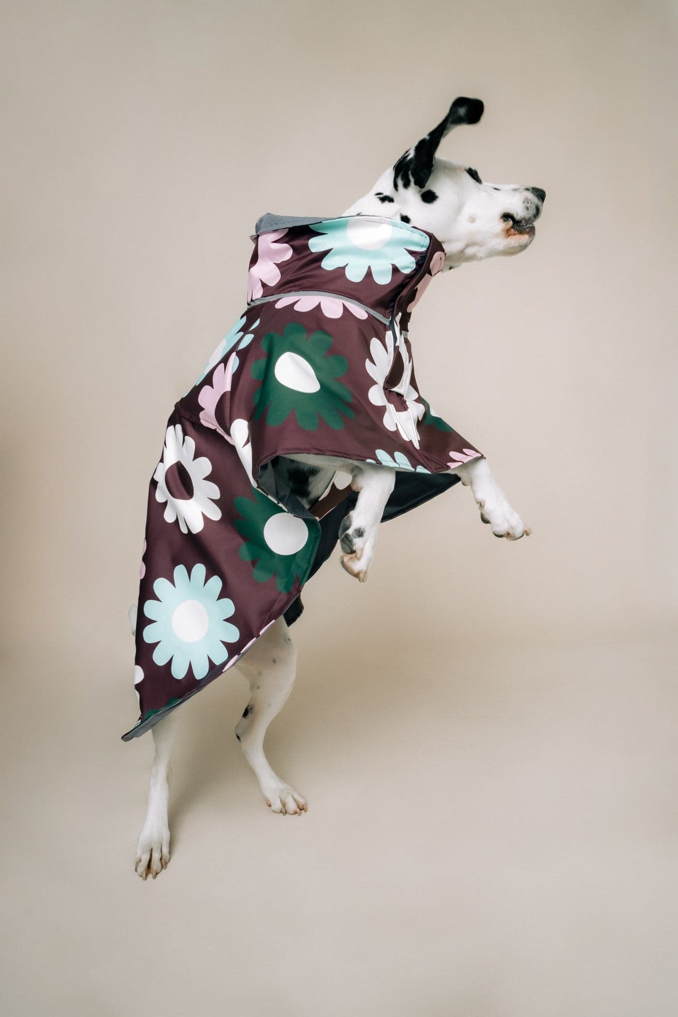 DOG´S RAINCOAT PETAL PLOP - imagen 1
