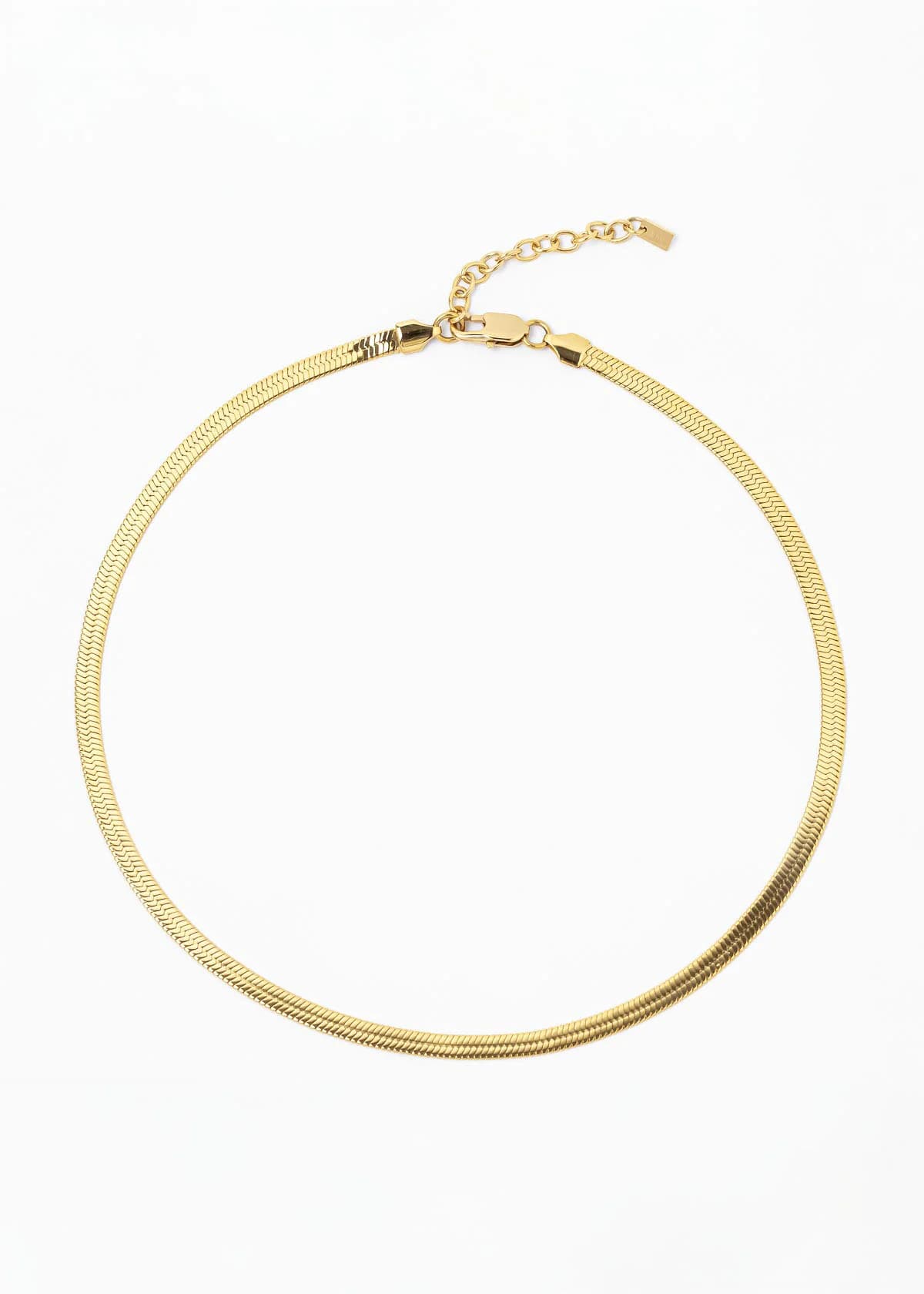 Collar Fidi Rosado - imagen 4