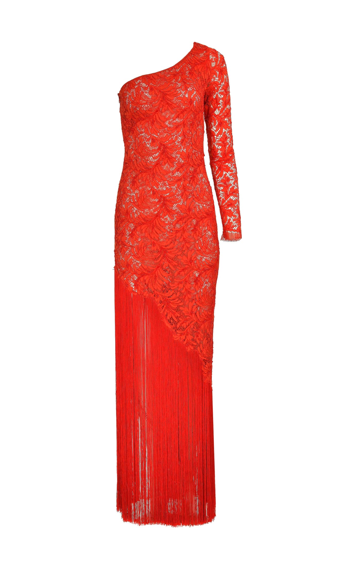 Scarlet Fringe Maxi Dress - imagen 2