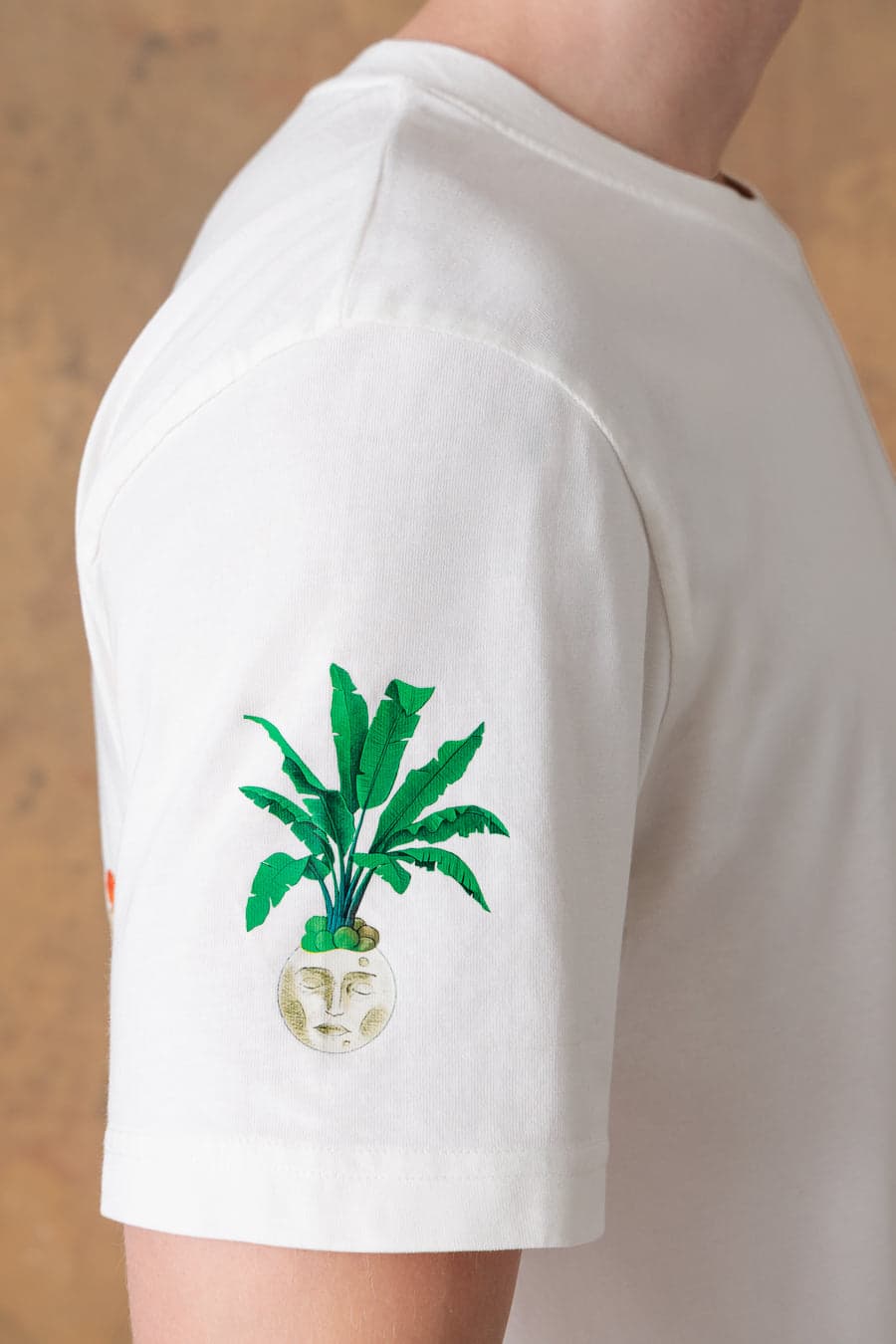 Men's cotton t-shirt panteon white - imagen 5
